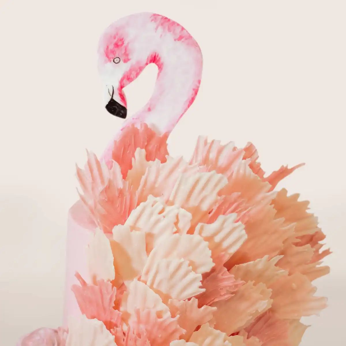pink_flamingo